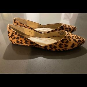 Cheetah Flats